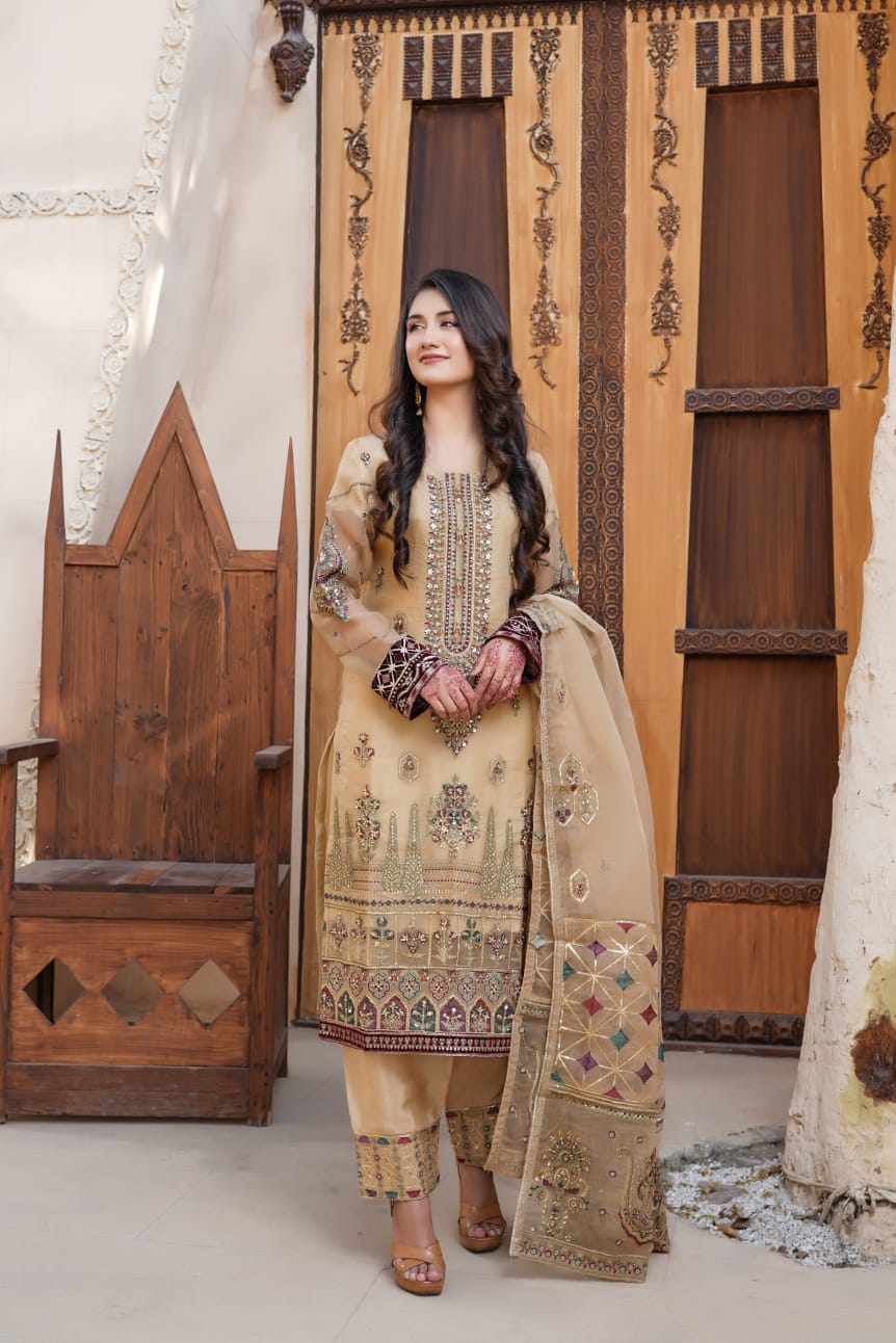 3Piece_Embroidered Organza Suit | 1350-SN-ORZ