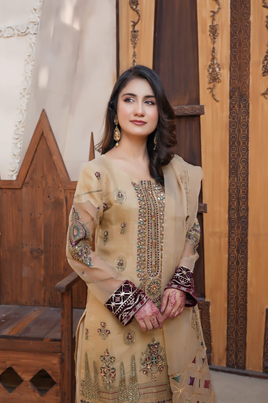 3Piece_Embroidered Organza Suit | 1350-SN-ORZ